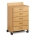 Clinton 8950 Mobile 5 Drawer Treatment Cabinet